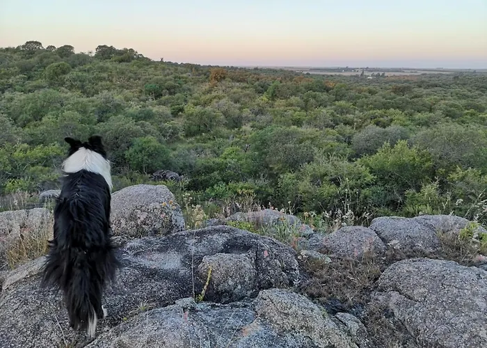 Posta Calma Inmerso En La Naturaleza