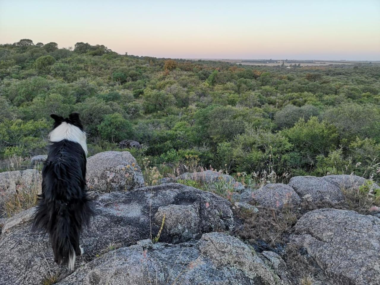 Posta Calma Inmerso En La Naturaleza * San Agustin (Cordoba)